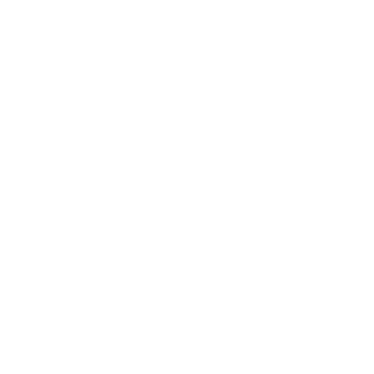 Santini Studios